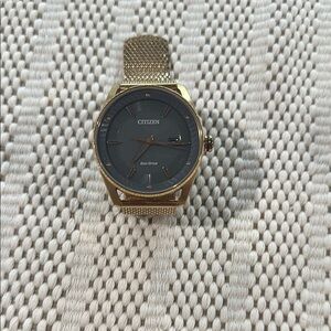 Citizen Gold and Black Modern Mesh Watch